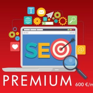 posicionamiento seo premium